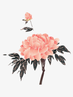 粉色手绘牡丹花素材