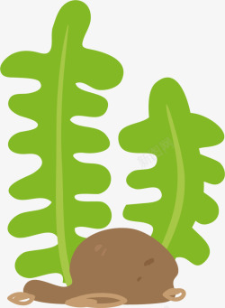 一株海草海洋植物绿色海草高清图片