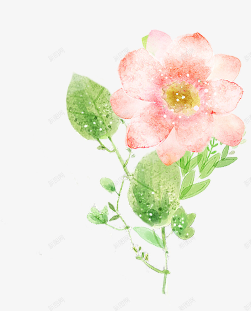 粉红色水彩肌理花朵图psd免抠素材_新图网 https://ixintu.com 免抠 免抠图 彩绘 水彩 水彩肌理 粉红色 花 花朵