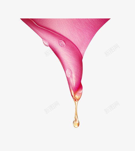 粉色花瓣水珠新鲜png免抠素材_新图网 https://ixintu.com 新鲜 水珠 粉色 花瓣