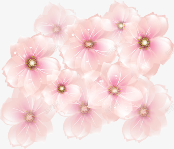 花卉png免抠素材_新图网 https://ixintu.com 漂浮物 盛开的花 粉红 花卉 装饰物