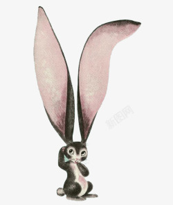 大耳朵兔子素材