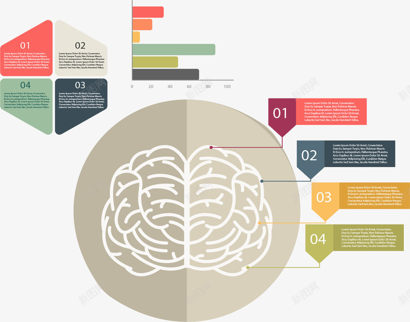 大脑分区步骤目录png免抠素材_新图网 https://ixintu.com 分区 分布 分类 大脑 彩色 条形图 步骤