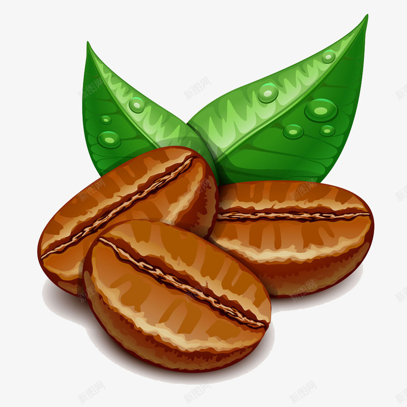 咖啡豆和带水珠的绿叶png免抠素材_新图网 https://ixintu.com 咖啡豆 水珠 绿叶