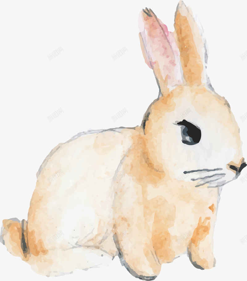 水彩动物黄色兔子png免抠素材_新图网 https://ixintu.com 可爱兔子 手绘兔子 水彩兔子 水彩动物 蹲着的兔子 黄色兔子