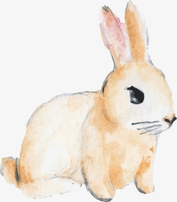 水彩动物黄色兔子素材