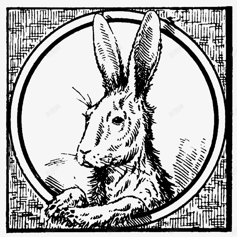 兔子野兔png免抠素材_新图网 https://ixintu.com 兔子 动物头像 古典装饰 方框图 线稿 野兔