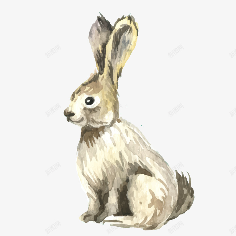 卡通可爱的彩绘小兔子png免抠素材_新图网 https://ixintu.com 兔子 卡通 大自然 彩绘 森林 野生动物