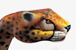 创意豹子创意彩绘豹子头高清图片