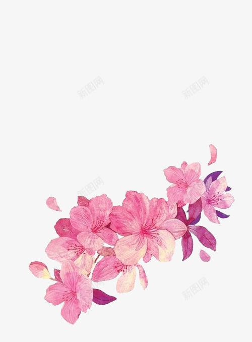 花朵粉红花朵彩绘花朵png免抠素材_新图网 https://ixintu.com 彩绘 粉红 花朵