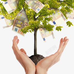 小树图案金融财富高清图片