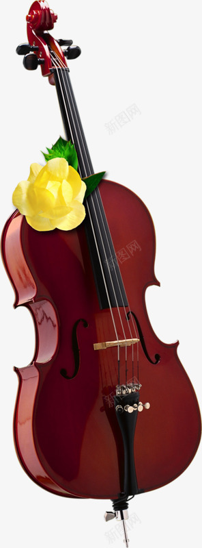 大提琴乐器png免抠素材_新图网 https://ixintu.com 乐器 大提琴 音乐 黄花