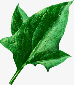 带水珠的蔬菜带水珠的蔬菜高清图片
