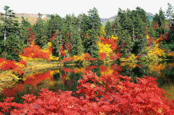 大雪山国立公园秋景素材