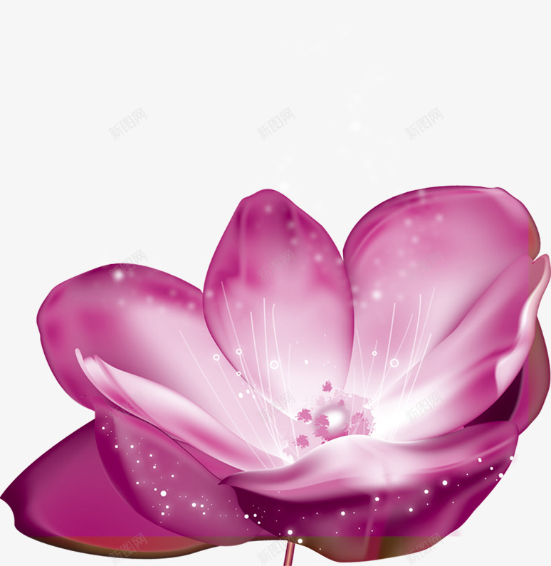 鲜艳开放的紫色花朵白色光点png免抠素材_新图网 https://ixintu.com 开放 紫色 色光 花朵 鲜艳