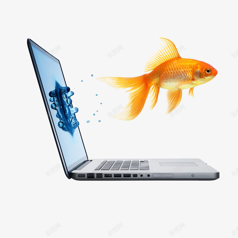 3D视觉笔记本电脑png免抠素材_新图网 https://ixintu.com 水珠 笔记本电脑 金鱼