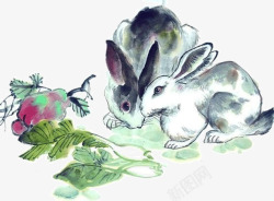 一对兔子国画兔子高清图片