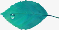 手绘蓝色树叶水滴装饰素材