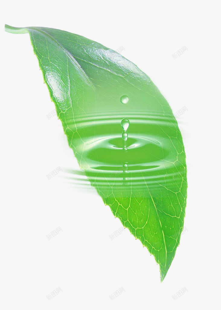 绿色叶子水滩png免抠素材_新图网 https://ixintu.com 叶子 水流漩涡 水渍 水滩 水滴 水漩涡 绿色 透明