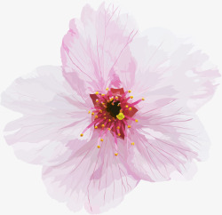 手绘粉红花朵正面图素材