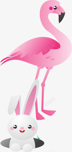 粉色火烈鸟火烈鸟高清图片