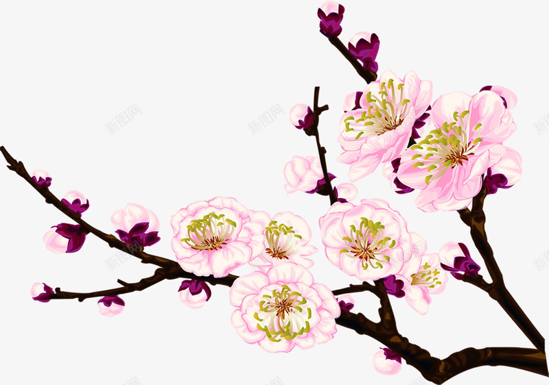 生长在枝头的粉红色花蕾png免抠素材_新图网 https://ixintu.com 枝头 生长 粉红色 花蕾