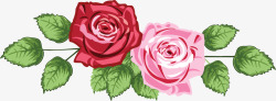 粉红色玫瑰装饰花朵素材