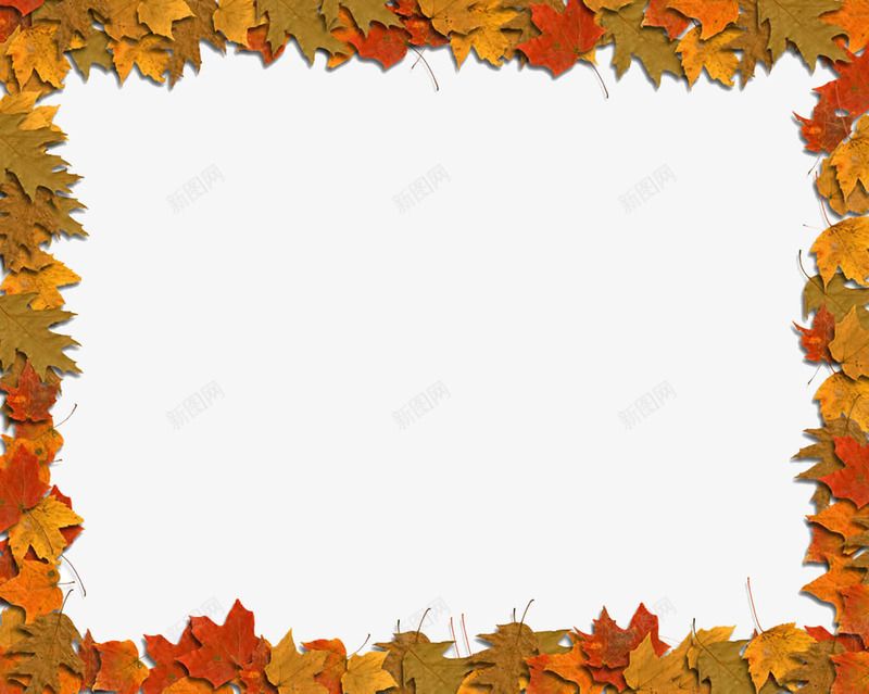 彩色的枫叶相框png免抠素材_新图网 https://ixintu.com 叶子 彩色的 枫叶 树叶 相框