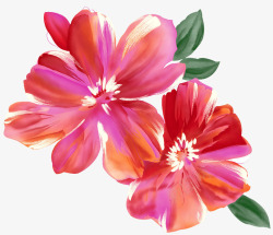彩绘粉红两个花朵素材
