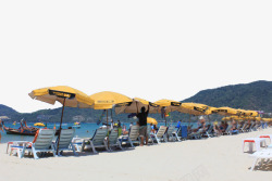 矢量太阳椅排列整齐的遮阳伞高清图片