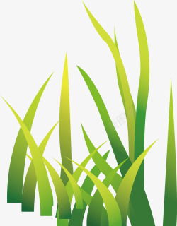 人字形绿色植物麦苗高清图片