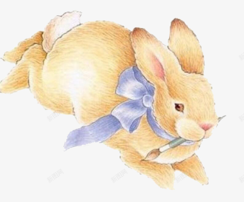 奔跑的兔子png免抠素材_新图网 https://ixintu.com 兔子 动物 手绘