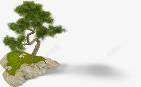 石头上的松树png免抠素材_新图网 https://ixintu.com 松树 树 植物 石头上的树