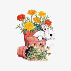 花盆和兔子素材