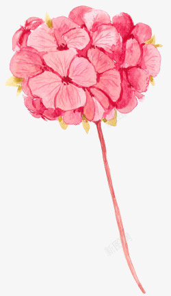 粉红色手绘花朵插画素材