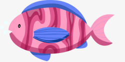 海洋生物多彩条纹小鱼素材