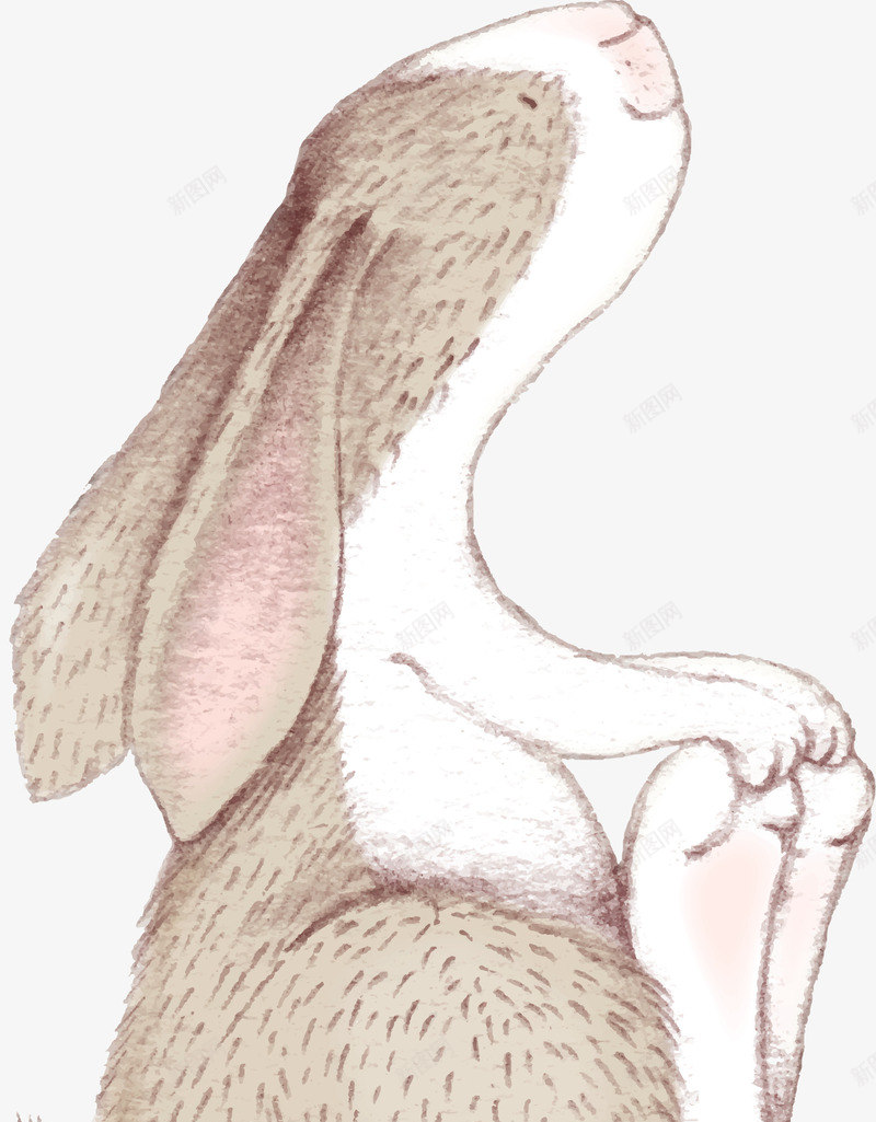卡通手绘可爱的小兔子png免抠素材_新图网 https://ixintu.com 创意 动漫动画 动物 卡通手绘 可爱的小兔子 简约
