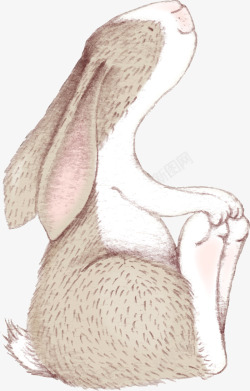 卡通手绘可爱的小兔子素材