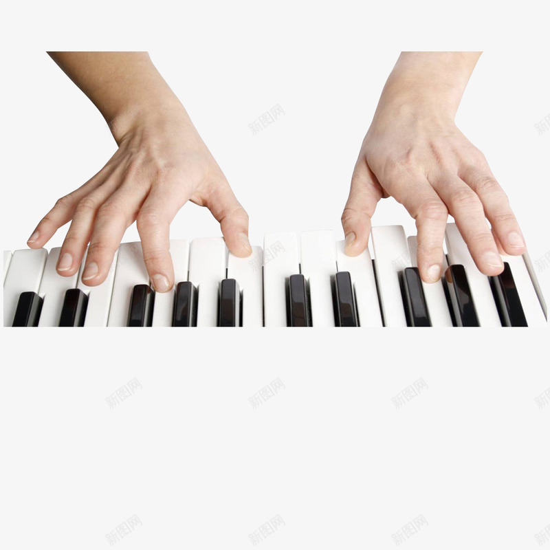 弹钢琴的手特写png免抠素材_新图网 https://ixintu.com 双手 弹钢琴的手 手指 教学 特写 琴键 钢琴 音乐