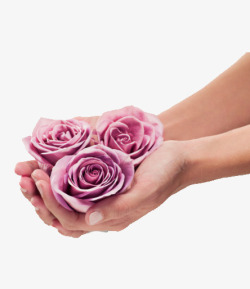 手里拿着粉红玫瑰花素材