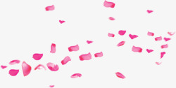 粉红色花瓣飘落素材