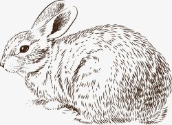手绘创意休息的小兔子素材