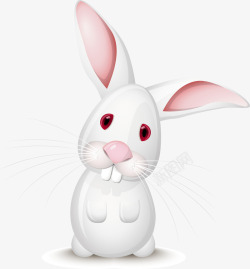 白色大耳兔素材