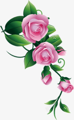春季手绘粉色玫瑰水滴素材