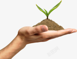 土壤发芽植物手势素材