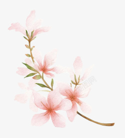 粉红花枝花朵素材