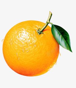 橙子上的水滴素材