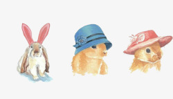 绘画兔兔子头上的帽子高清图片