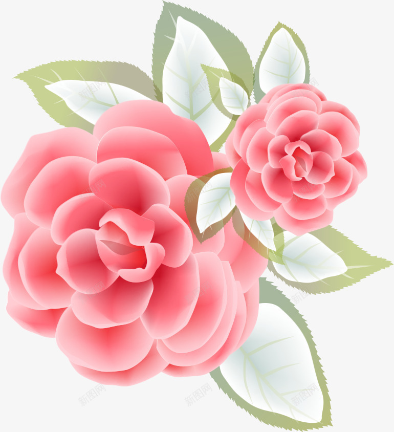 手绘茶花png免抠素材_新图网 https://ixintu.com AI 卡通 手绘 粉红 粉色 花卉 花朵 茶花 鲜花