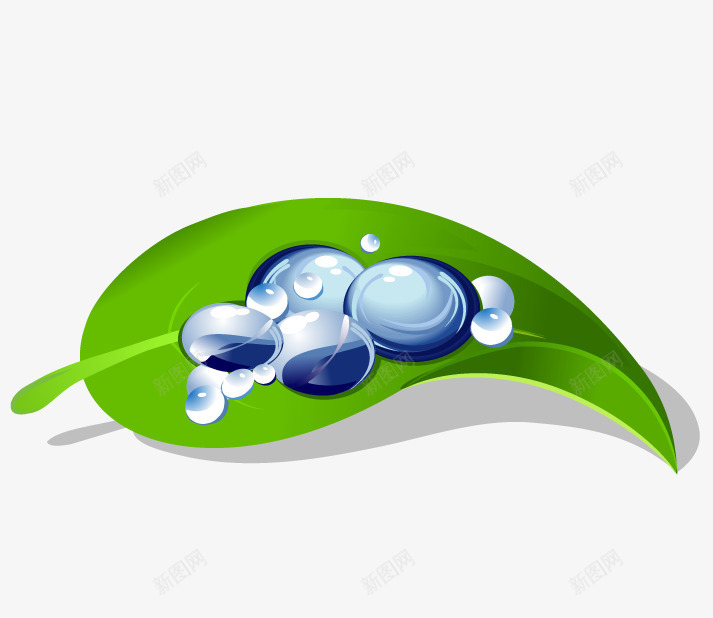 绿叶上的水珠png免抠素材_新图网 https://ixintu.com 健康 天然 水珠 绿叶 绿色